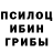 Псилоцибиновые грибы мухоморы Leonius Bad