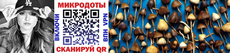 Купить  Пыталово  Галлюциногенные грибы GOLDEN TEACHER 